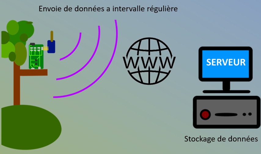 connexion cabane